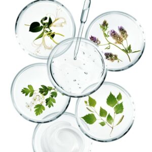 Soin Visage Sothys Organics™