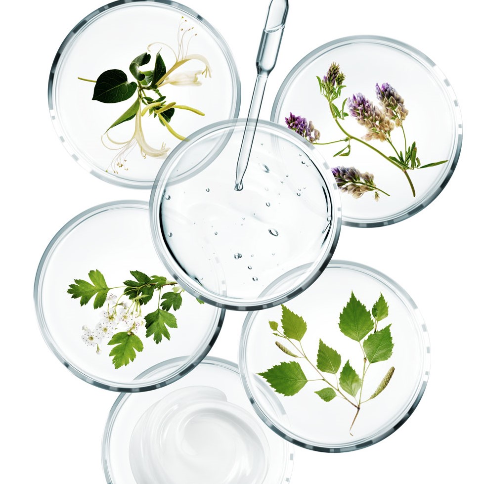 Soin Visage Sothys Organics™